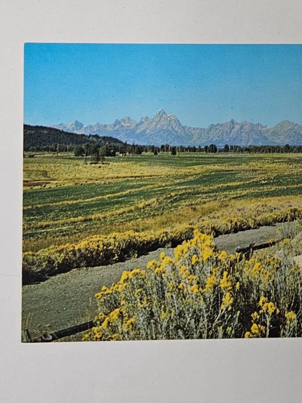 Grand Teton Range Highway 287 Lander Wyoming Postcard